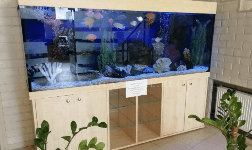 Тайны изготовления и обслуживания аквариумов с Аква-СТО